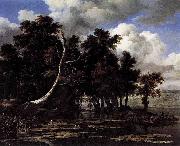 Jacob Isaacksz. van Ruisdael Oaks by a Lake with Waterlilies oil painting reproduction